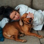 Propriétaire avec son chien sur un canapé, budget et accessoires canins au quotidien